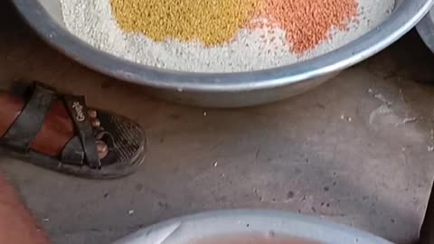 Rice