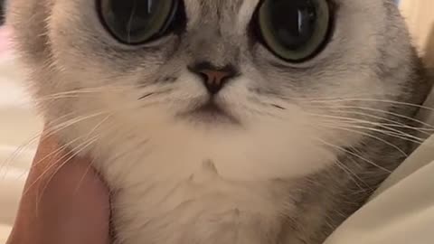 CUTE EYES