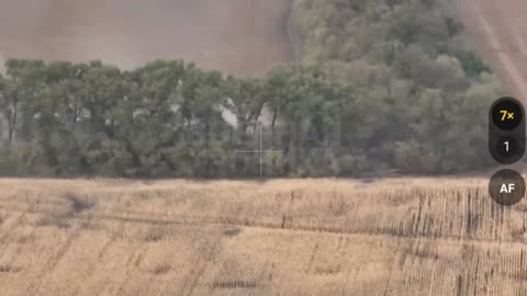 Paratroopers Storm a Ukrainian Treeline Near Cherkasskaya Konopelka