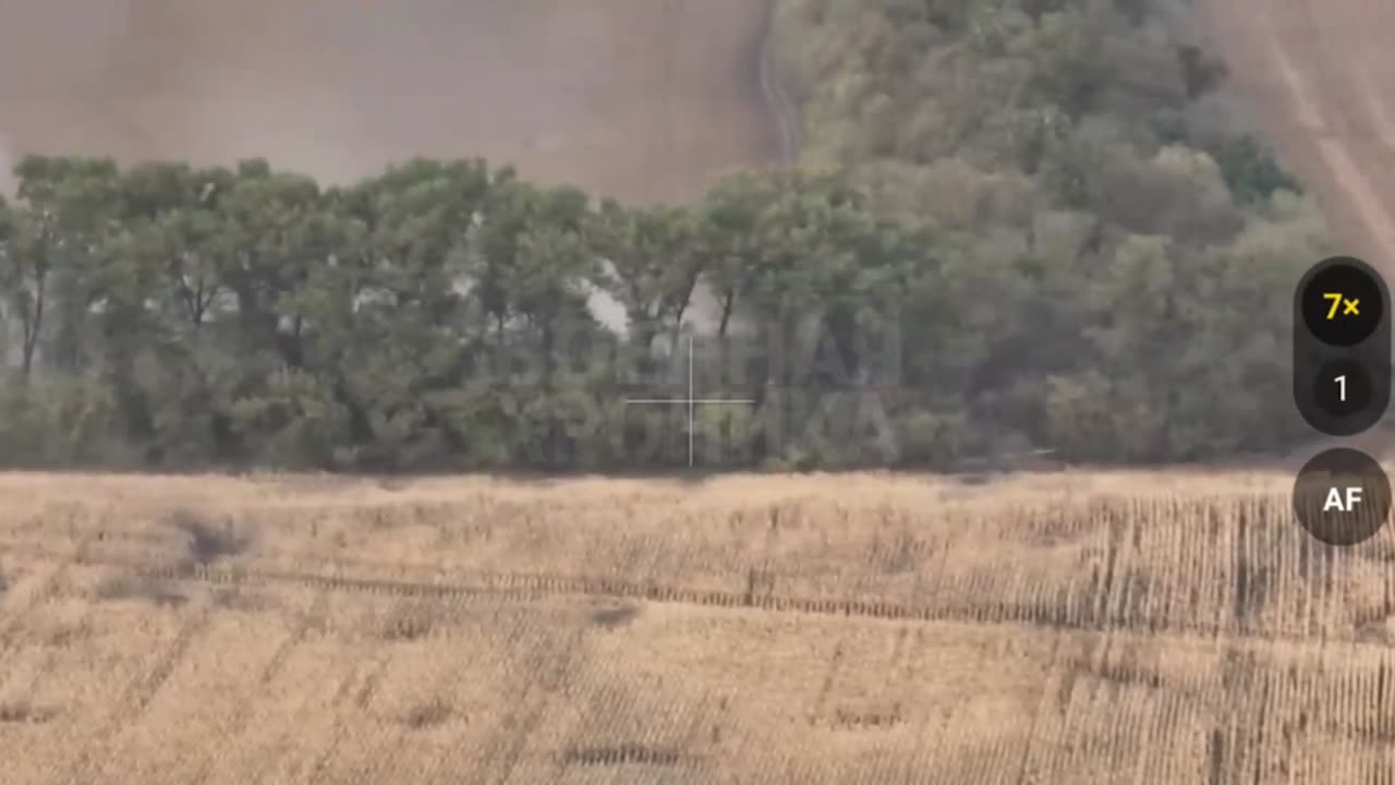 Paratroopers Storm a Ukrainian Treeline Near Cherkasskaya Konopelka