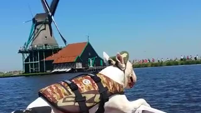 Boating with typical Dutch views