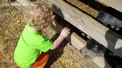 Children fun with animal kids