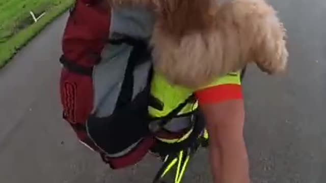 Dog rides bike without helmet #cycling #dog #foxnews