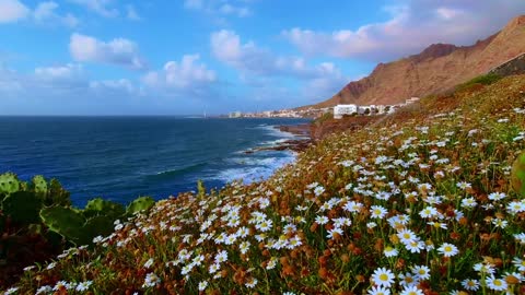 Beautiful Natural sea video