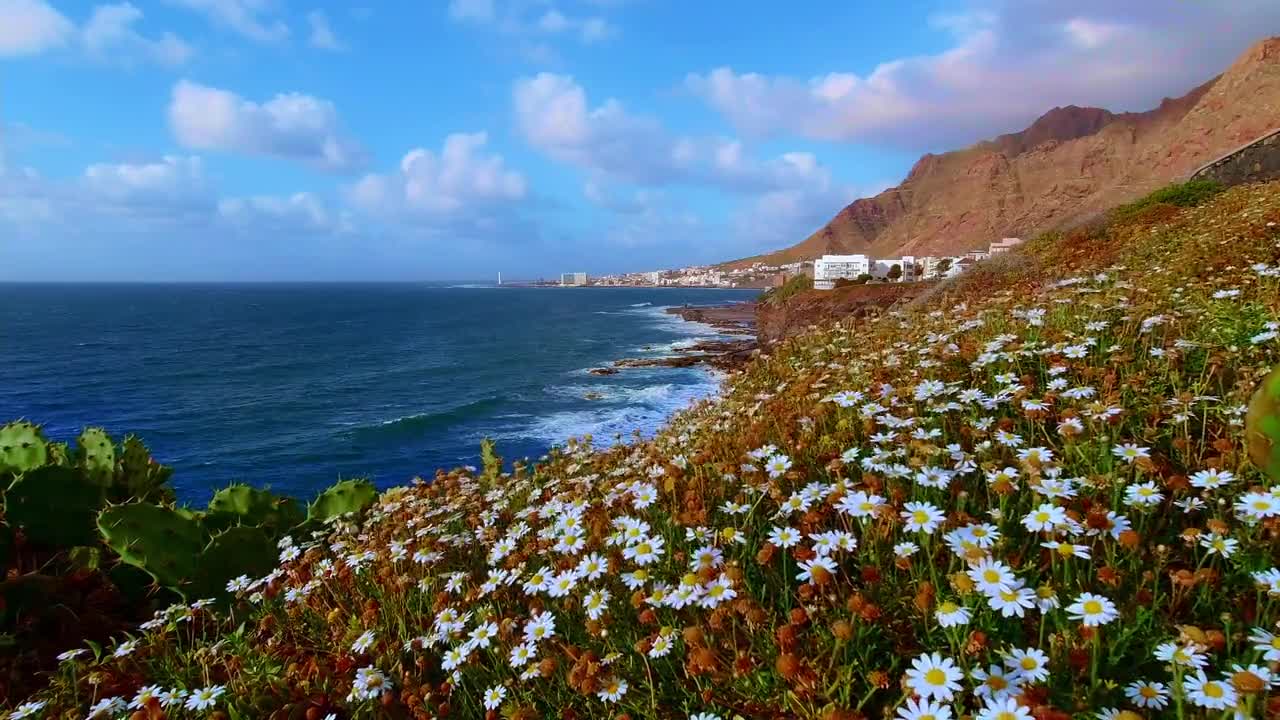 Beautiful Natural sea video