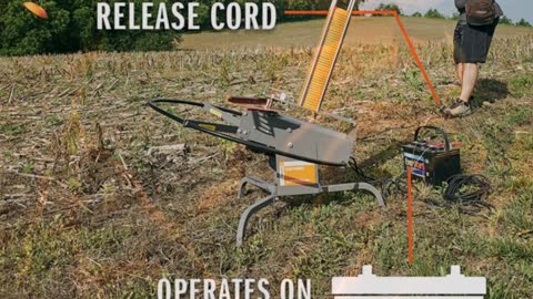 Champion EasyBird Auto-Feed Trap