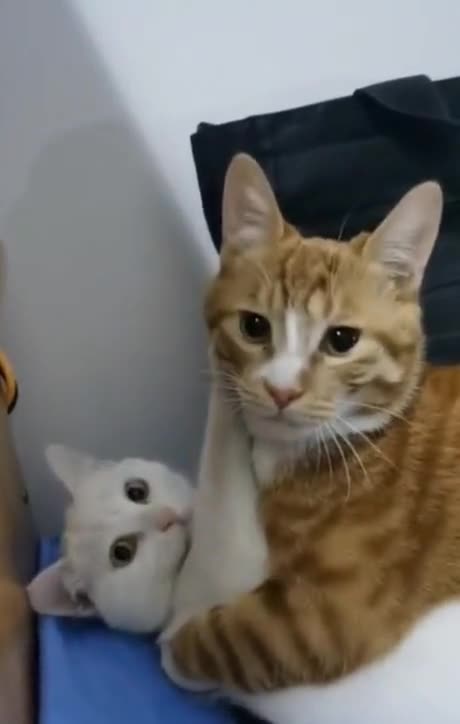 24/7 you two 🤣🤣