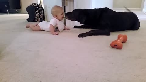 a baby is playing with a dog