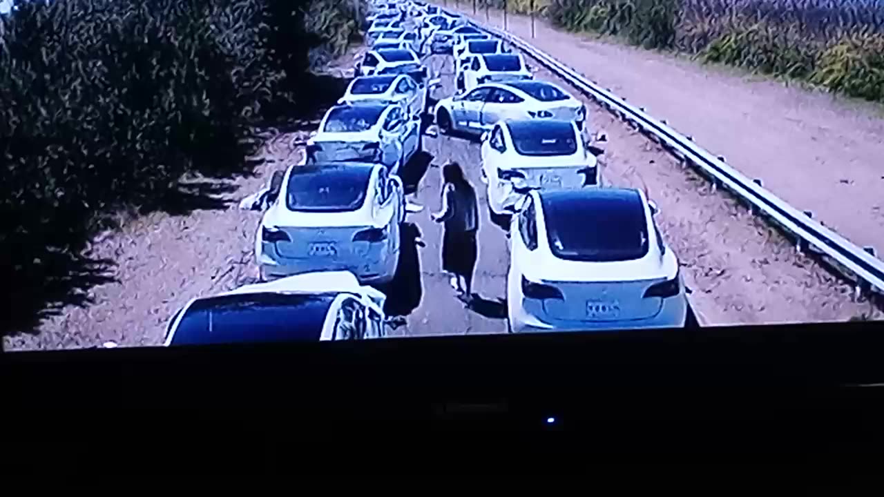 LEAVE THE WORLD BEHIND "SELF DRIVING TESLAS"