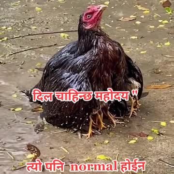 Mother's love and joy Wounderful view of mother's love