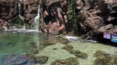 Maui Ocean Center