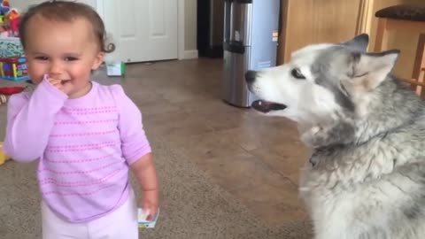 Cute Baby and Dog