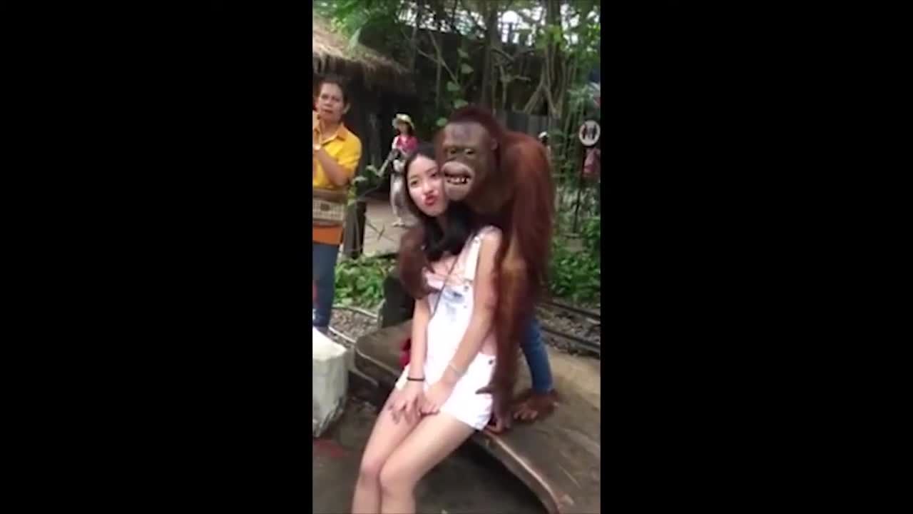 Try not to Laugh | The most naughty monkey ever