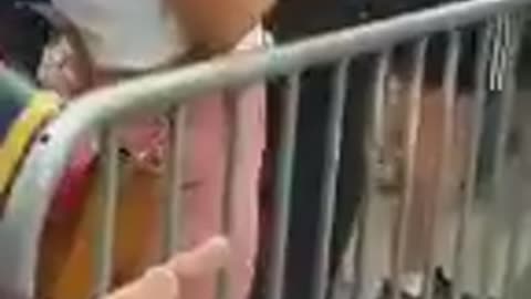 "They Won't Be Able To Walk The Streets" President Macron slapped in the face during France tour.