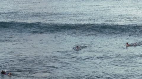 Vivian at the Ala Wai 2024-09-29 Sun 2-4'