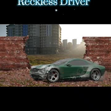 Reckless driver