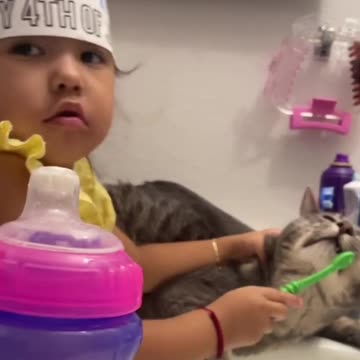 Funniest pets😁😁