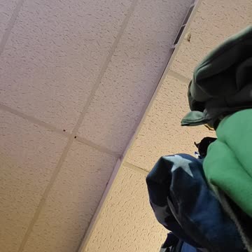 Did you check under the Bed?