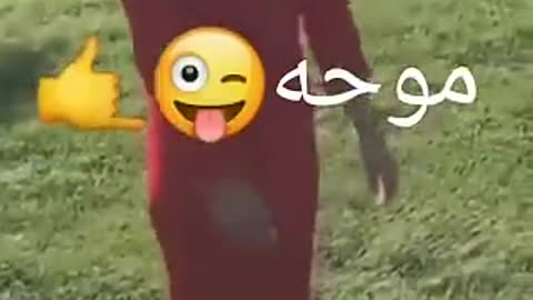 اجمل بنت