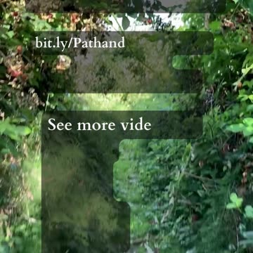 Rise Through Phases | Path and Tarot Reading