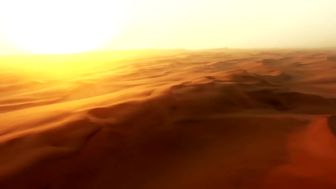 The Road Ahead