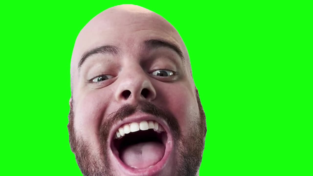 I Just Lost My Dawg | Green Screen