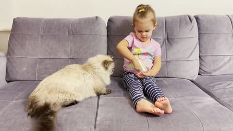 Baby Girl Funny Feeding a Fluffy Cat! [TRY NOT TO LAUGH]