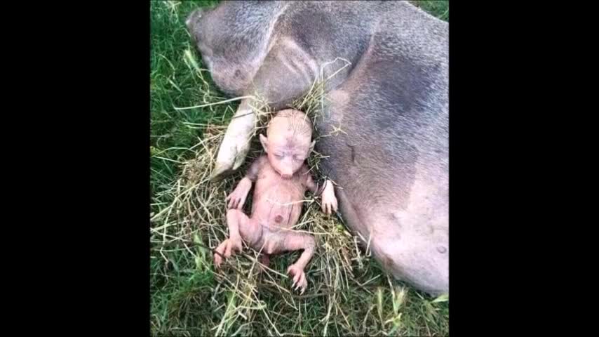 What Lies Beneath....Your Reality is Not what you thing.........