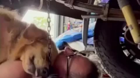 I like how the dog flops onto him.