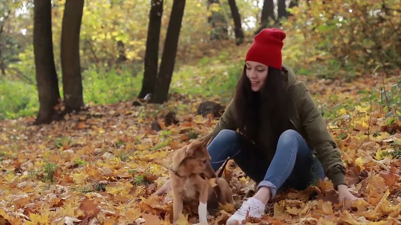 How to know your dog Happy or Sad?