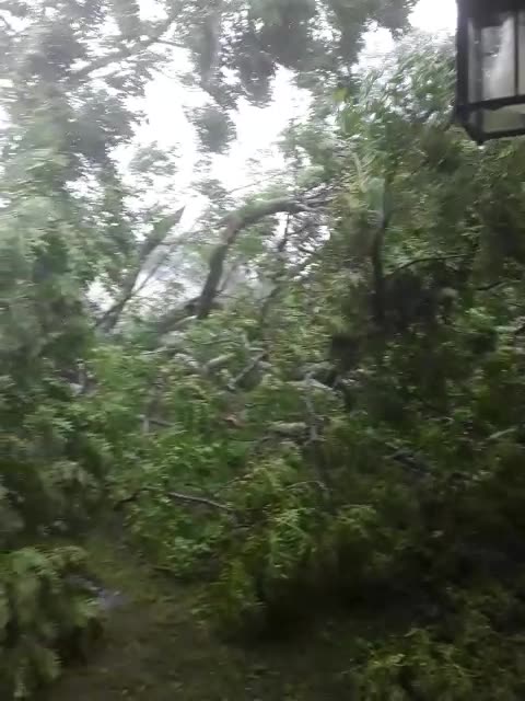 Sheer & Utter Devastation 1