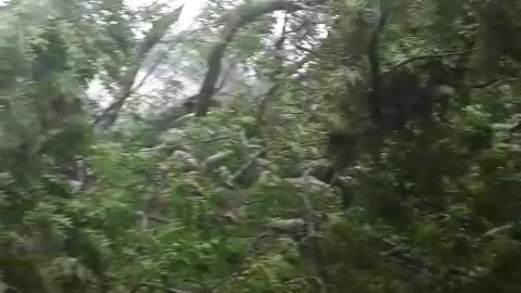 Sheer & Utter Devastation 1