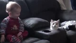 Baby + Cat.... Need I say more