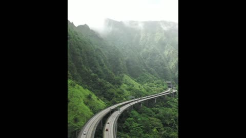 Soothing Music| Soft Music| Fast Sleep|