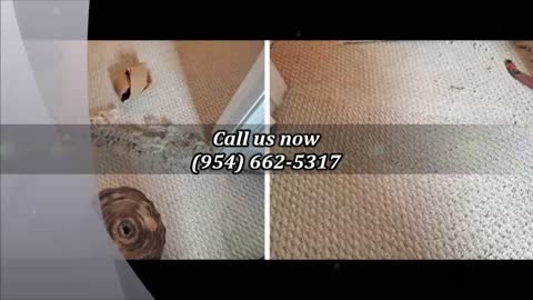 Clean Carpet Solutions LLC - (954) 662-5317