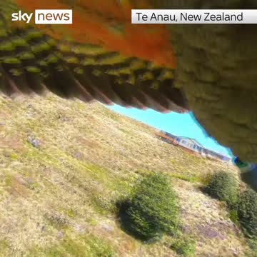 New Zealand Parrot Steals GoPro!