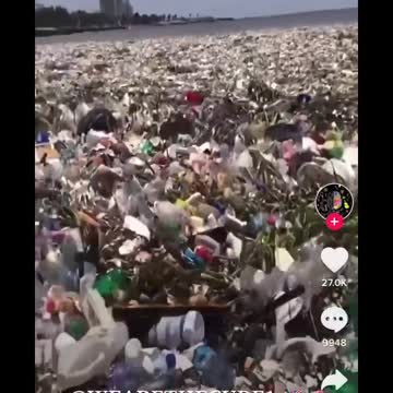 Die Welle.. the wave