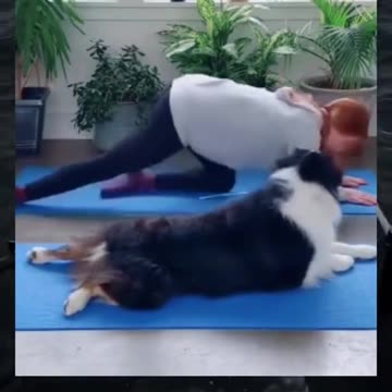 Dogs really are human's best friends.