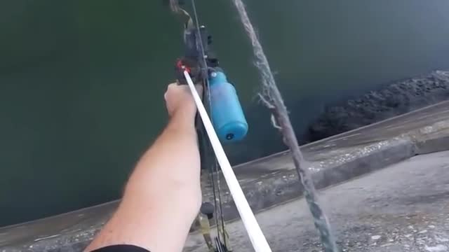 Bowfishing Headshot from a Dam