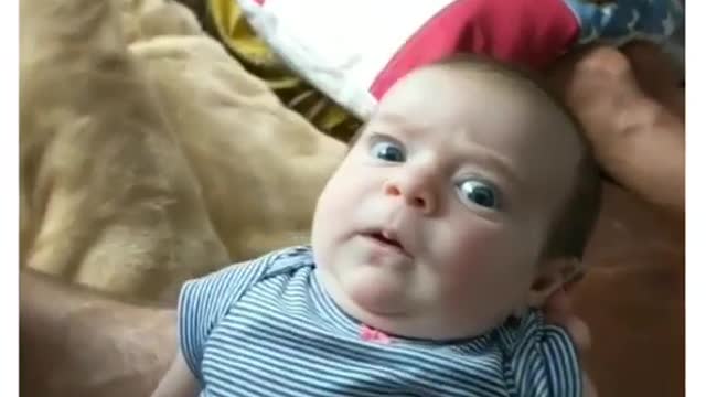 Can't stop laughing funny video