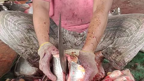 Amazing Pangas Fish Cutting By Fast Cutter l Fish Cutting Skills#shorts