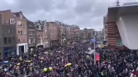 Peaceful Amsterdam