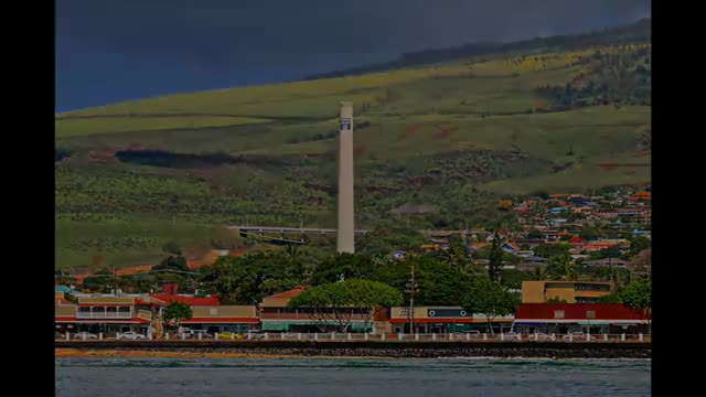 Whale Watching in Hawaii