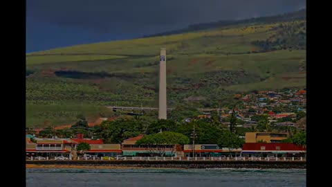 Whale Watching in Hawaii