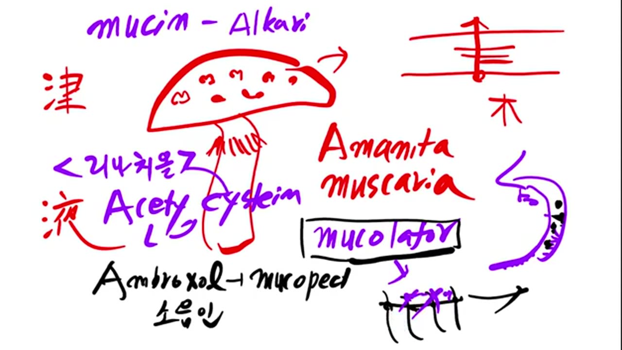 대장암간폐전이 완치 태음인1-4, 반룡인수한의원, 강남구청역, 한태영원장님, 사상의학