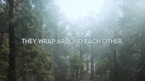 LISTEN TO THIS EVERYDAY AND CHANGE YOUR LIFE