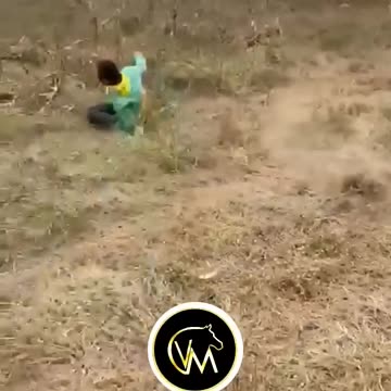 The End 😂😂 #funny #viral #fails #shorts