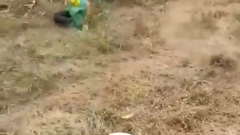 The End 😂😂 #funny #viral #fails #shorts