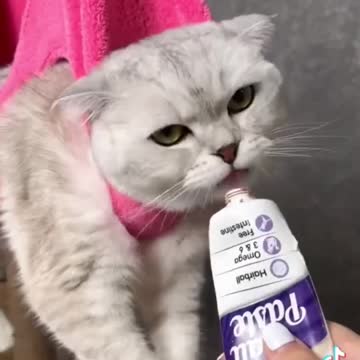 cat nail kat idea 🙄🙄🙄