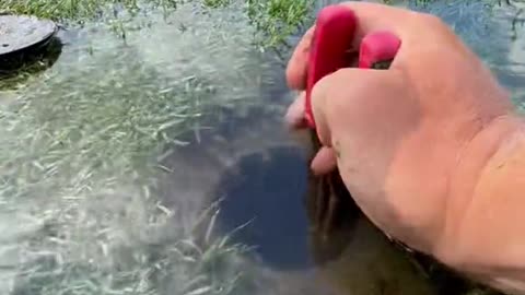 The best short clip of life experiences